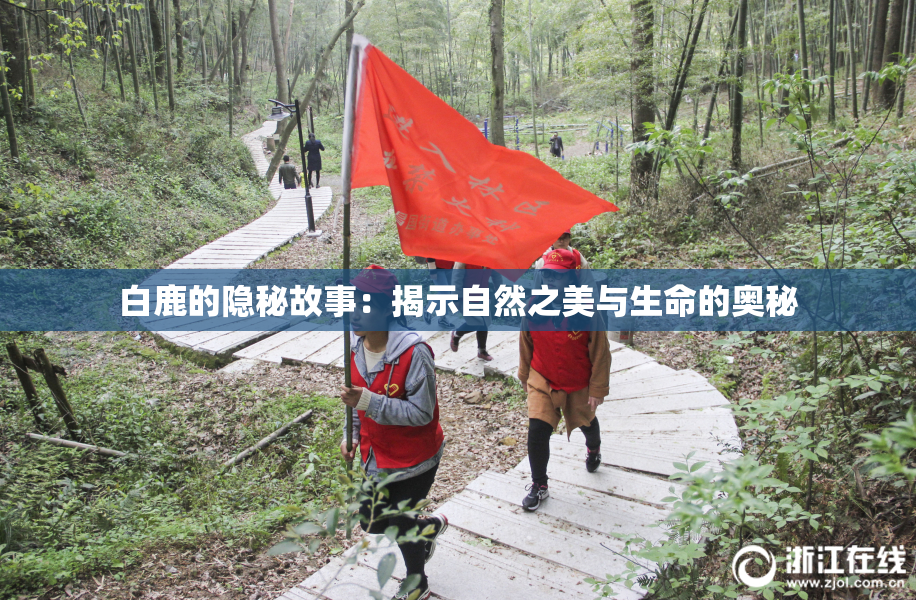 白鹿的隐秘故事：揭示自然之美与生命的奥秘