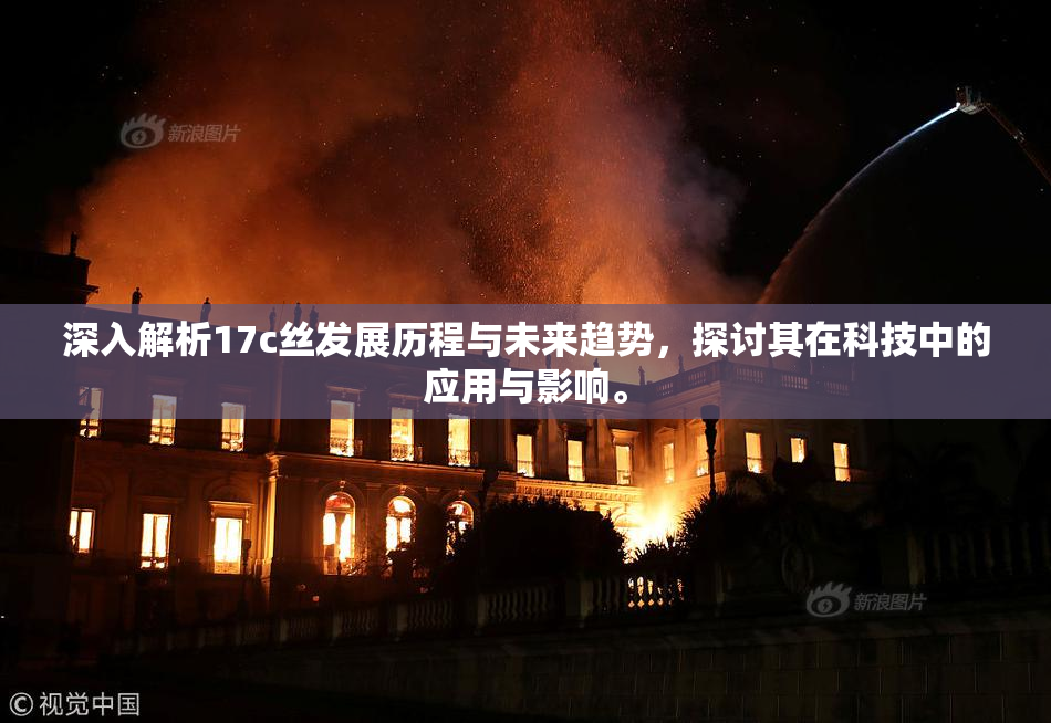 深入解析17c丝发展历程与未来趋势，探讨其在科技中的应用与影响。