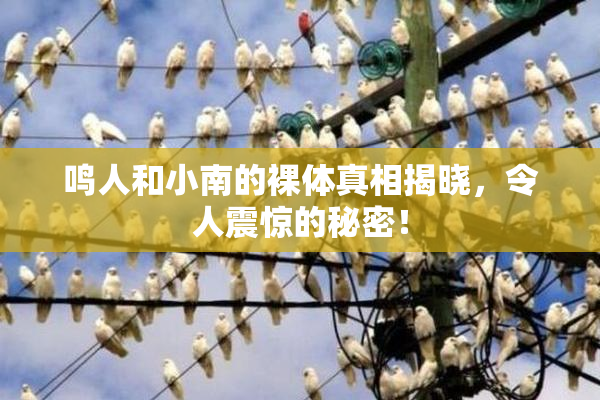 鸣人和小南的裸体真相揭晓，令人震惊的秘密！