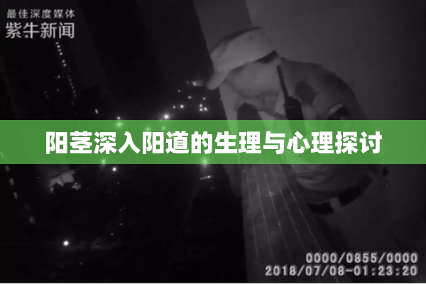 阳茎深入阳道的生理与心理探讨