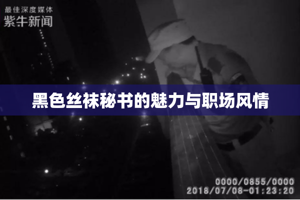 黑色丝袜秘书的魅力与职场风情