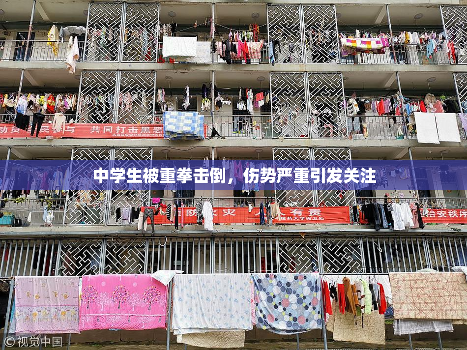 中学生被重拳击倒，伤势严重引发关注