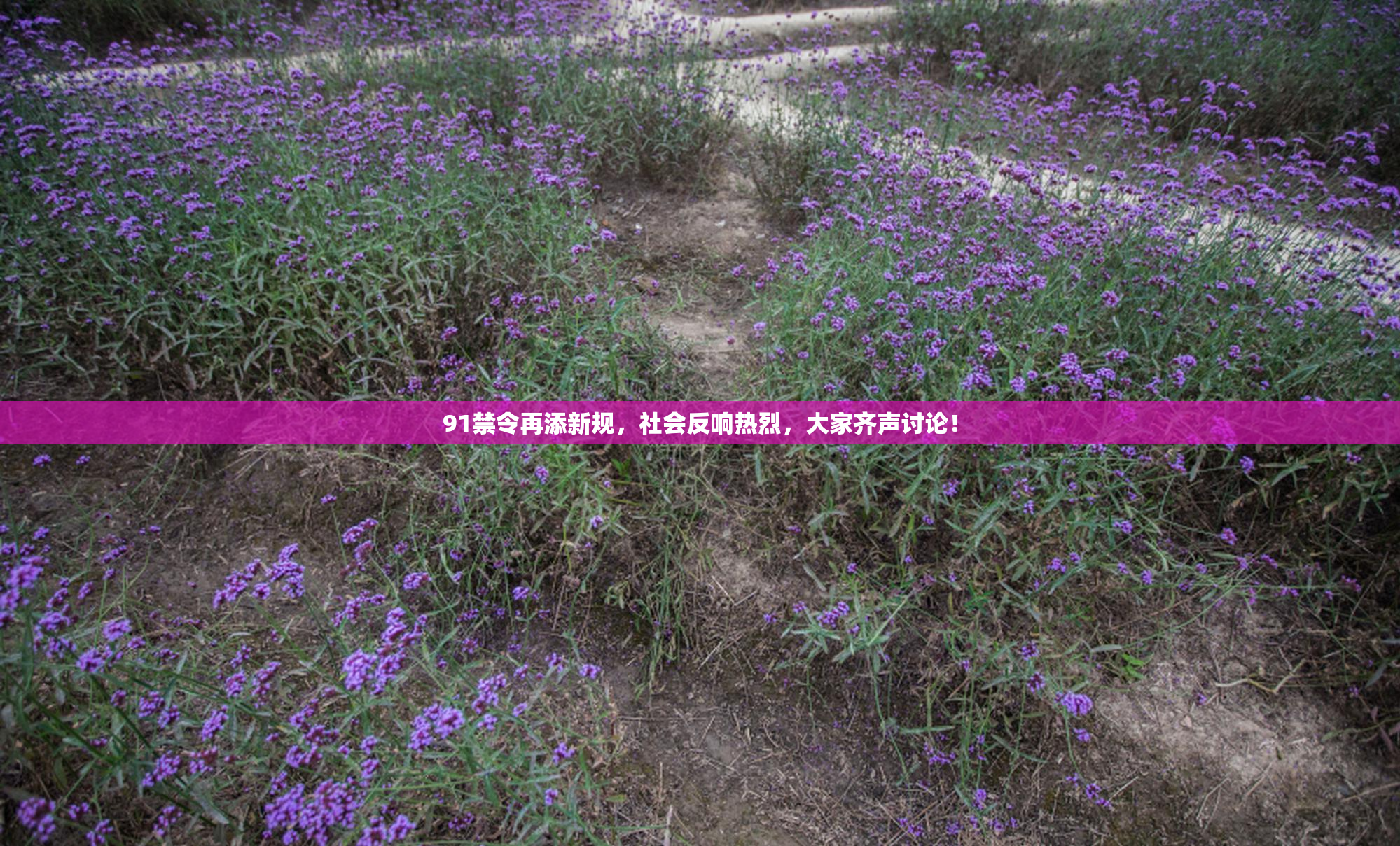 91禁令再添新规，社会反响热烈，大家齐声讨论！
