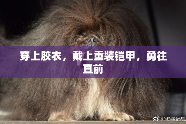 穿上胶衣，戴上重装铠甲，勇往直前