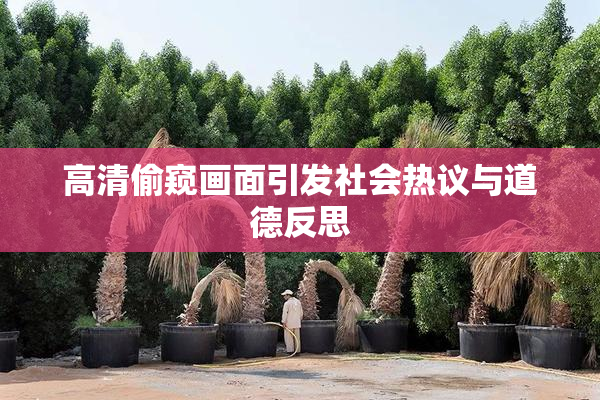 高清偷窥画面引发社会热议与道德反思