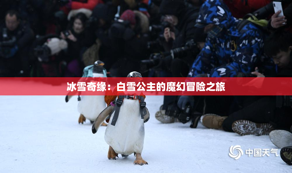 冰雪奇缘：白雪公主的魔幻冒险之旅