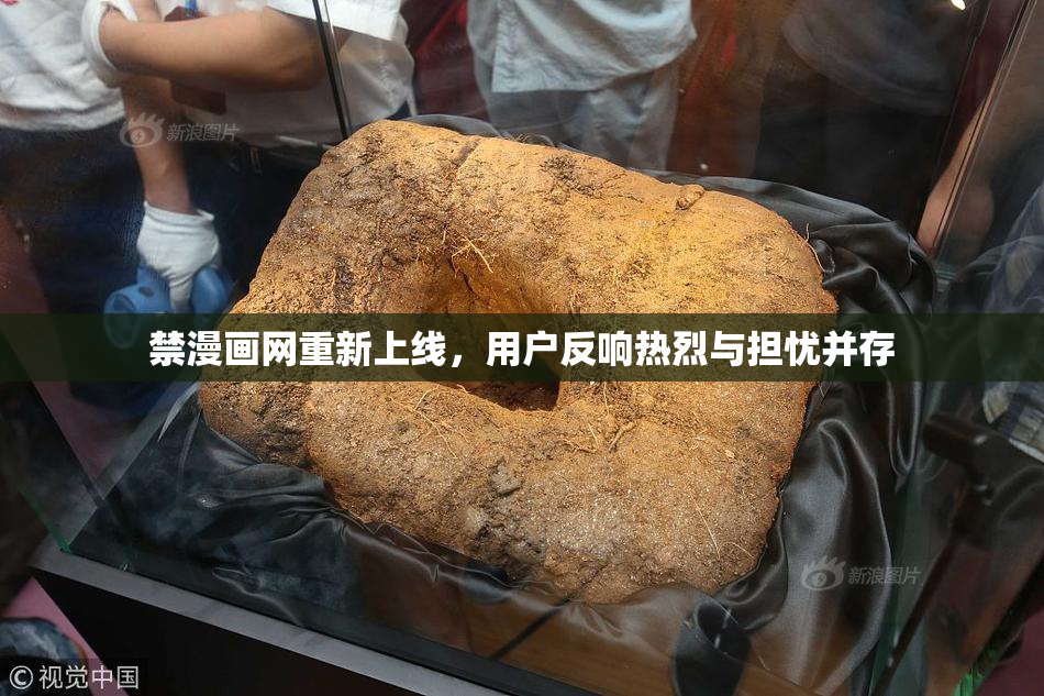 禁漫画网重新上线，用户反响热烈与担忧并存