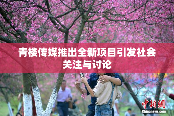 青楼传媒推出全新项目引发社会关注与讨论