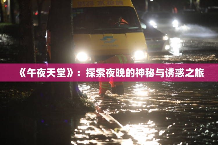 《午夜天堂》：探索夜晚的神秘与诱惑之旅