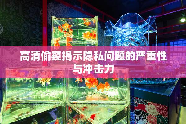高清偷窥揭示隐私问题的严重性与冲击力