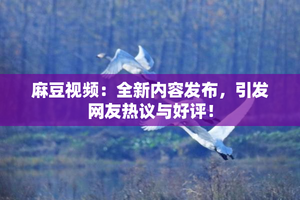 麻豆视频：全新内容发布，引发网友热议与好评！