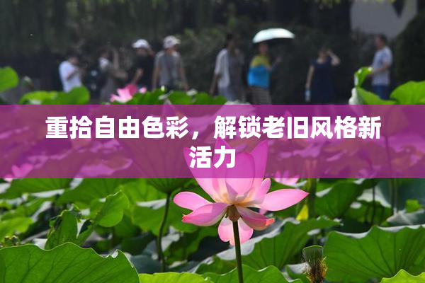 重拾自由色彩，解锁老旧风格新活力