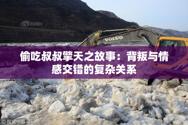 偷吃叔叔擎天之故事：背叛与情感交错的复杂关系