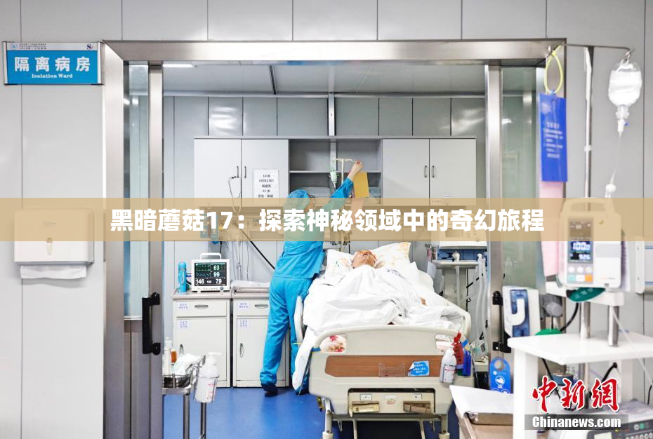 黑暗蘑菇17：探索神秘领域中的奇幻旅程