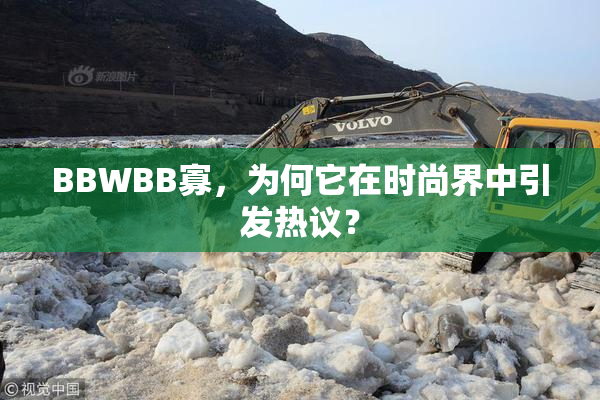 BBWBB寡，为何它在时尚界中引发热议？