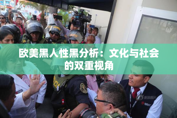 欧美黑人性黑分析：文化与社会的双重视角