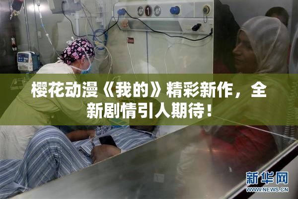 樱花动漫《我的》精彩新作，全新剧情引人期待！