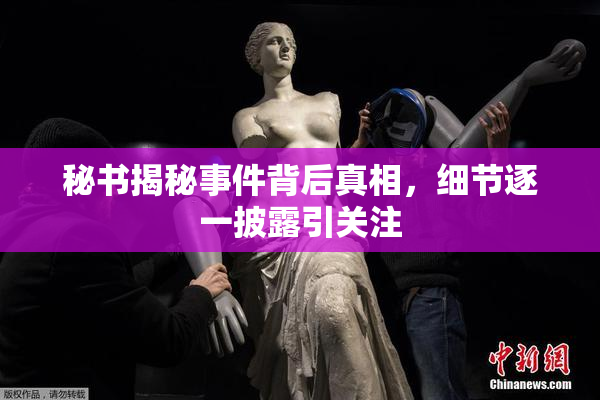 秘书揭秘事件背后真相，细节逐一披露引关注