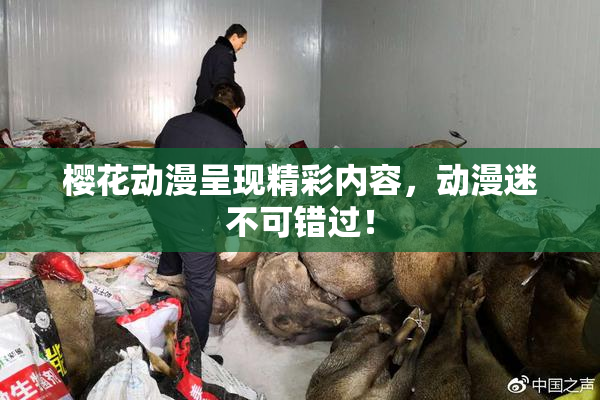 樱花动漫呈现精彩内容，动漫迷不可错过！