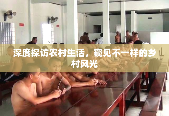 深度探访农村生活，窥见不一样的乡村风光