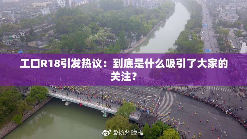 工口R18引发热议：到底是什么吸引了大家的关注？