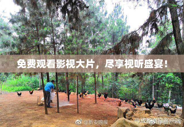 免费观看影视大片，尽享视听盛宴！
