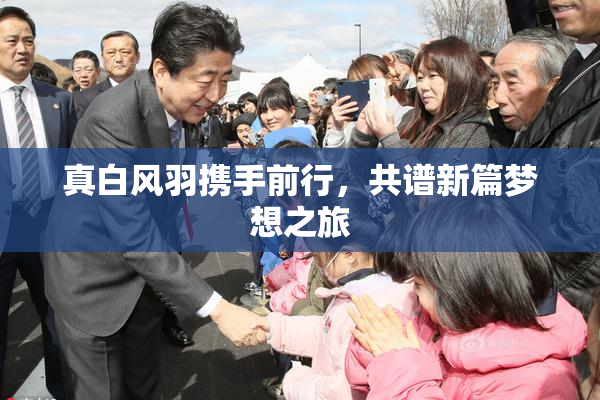 真白风羽携手前行，共谱新篇梦想之旅