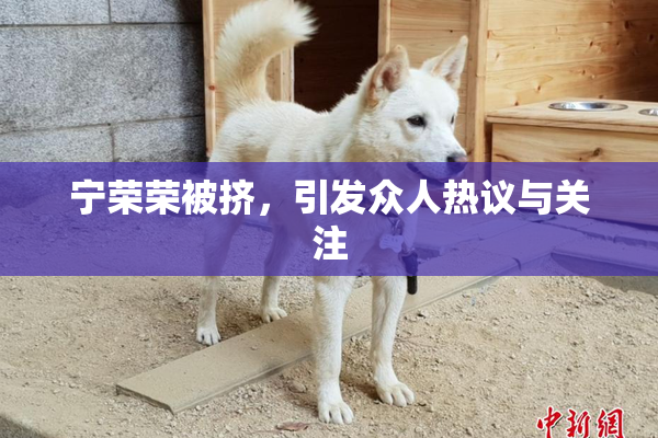 宁荣荣被挤，引发众人热议与关注
