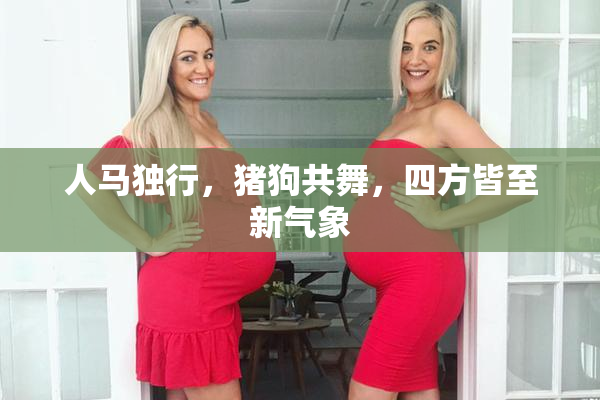 人马独行，猪狗共舞，四方皆至新气象