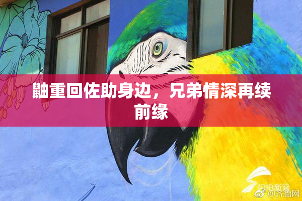 鼬重回佐助身边，兄弟情深再续前缘