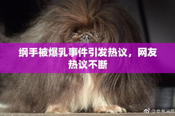 纲手被爆乳事件引发热议，网友热议不断