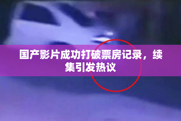 国产影片成功打破票房记录，续集引发热议