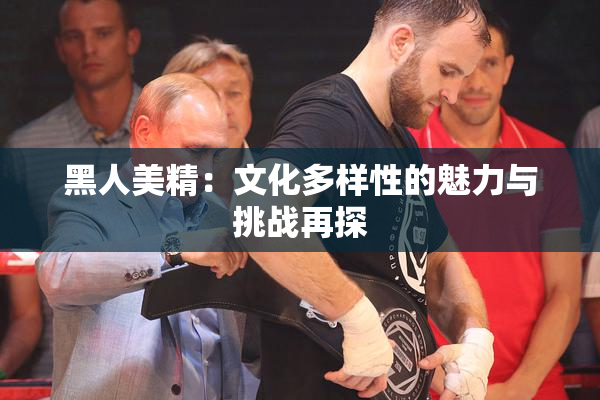 黑人美精：文化多样性的魅力与挑战再探
