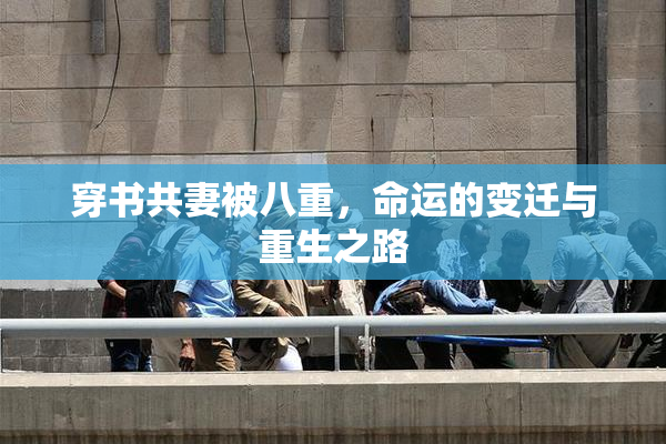 穿书共妻被八重，命运的变迁与重生之路