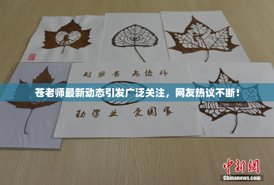 苍老师最新动态引发广泛关注，网友热议不断！
