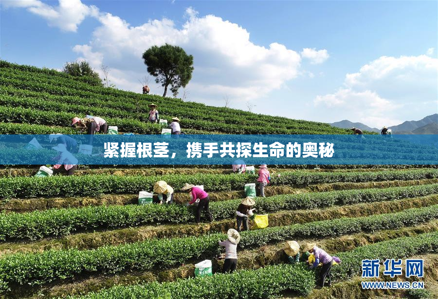 紧握根茎，携手共探生命的奥秘