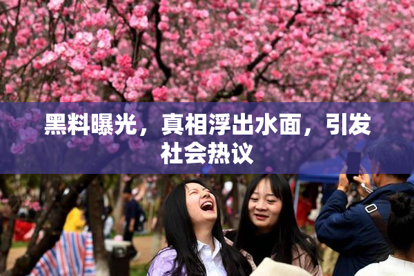 黑料曝光，真相浮出水面，引发社会热议