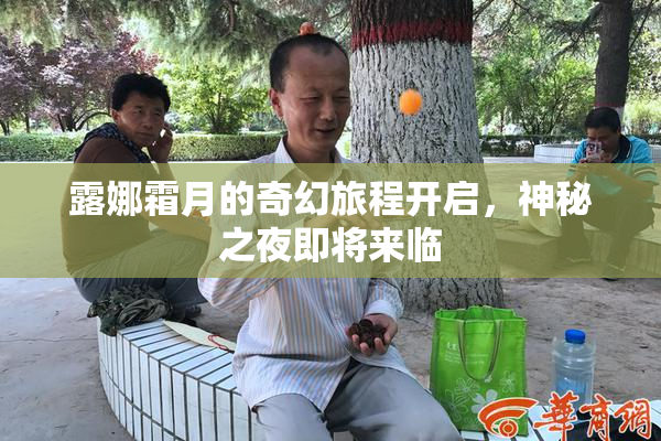 露娜霜月的奇幻旅程开启，神秘之夜即将来临