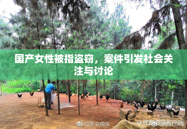 国产女性被指盗窃，案件引发社会关注与讨论
