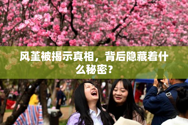 风堇被揭示真相，背后隐藏着什么秘密？