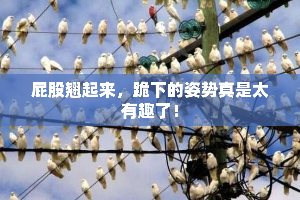 屁股翘起来，跪下的姿势真是太有趣了！