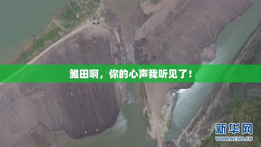 雏田啊，你的心声我听见了！