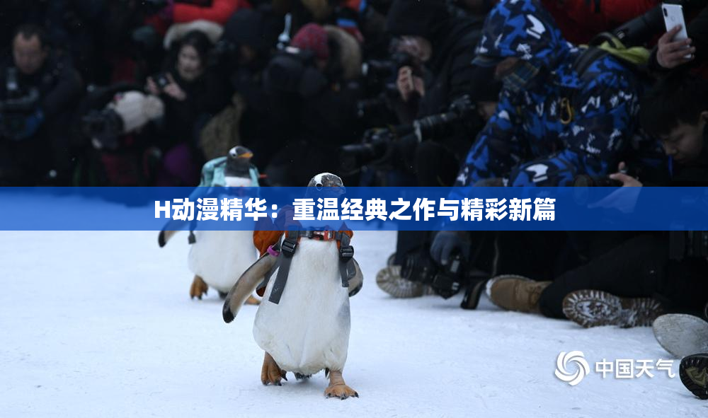 H动漫精华：重温经典之作与精彩新篇