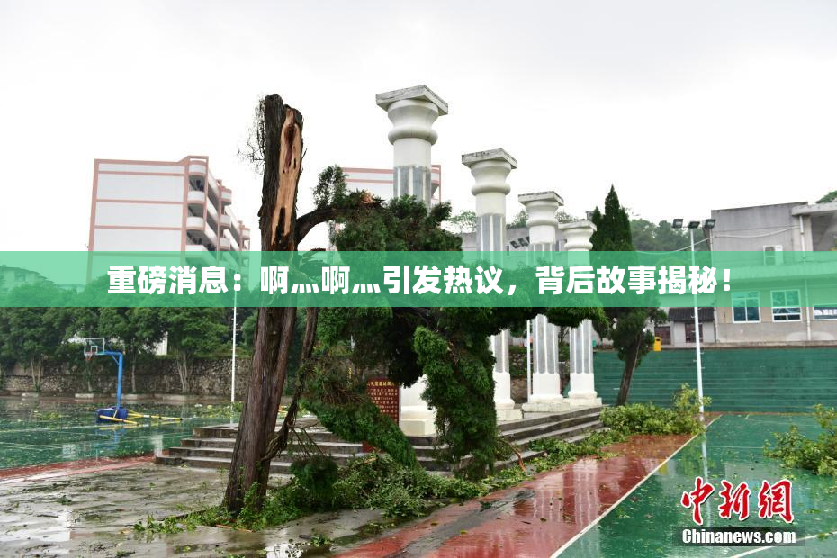 重磅消息：啊灬啊灬引发热议，背后故事揭秘！