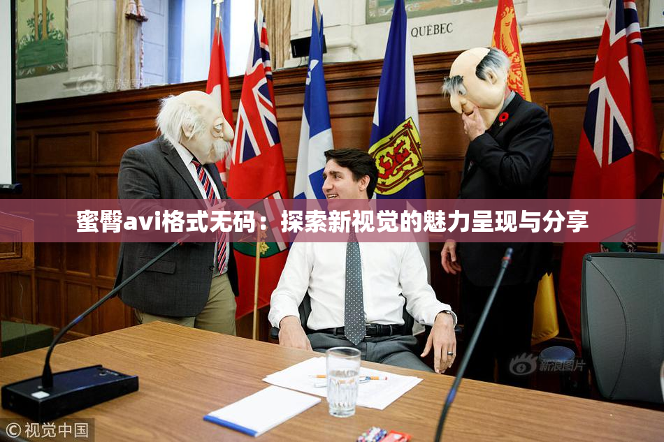 蜜臀avi格式无码：探索新视觉的魅力呈现与分享