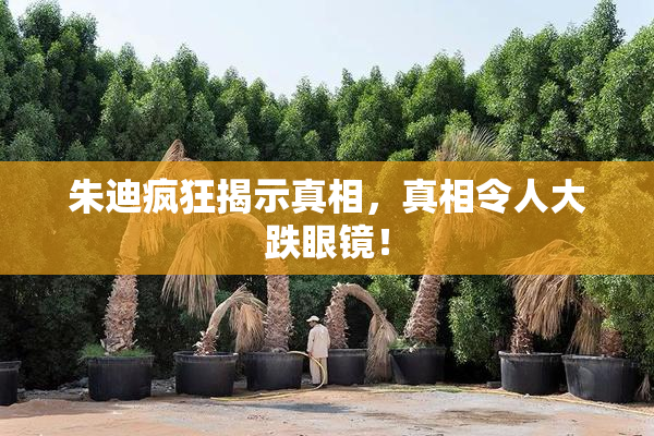 朱迪疯狂揭示真相，真相令人大跌眼镜！