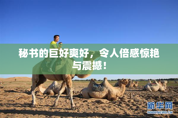 秘书的巨好爽好，令人倍感惊艳与震撼！
