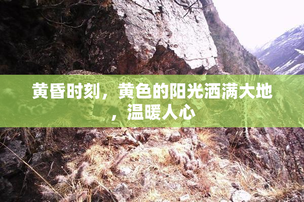 黄昏时刻，黄色的阳光洒满大地，温暖人心