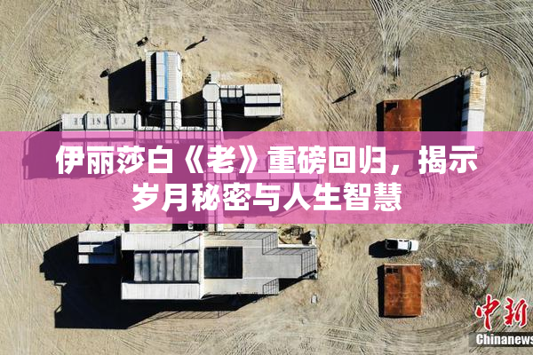 伊丽莎白《老》重磅回归，揭示岁月秘密与人生智慧