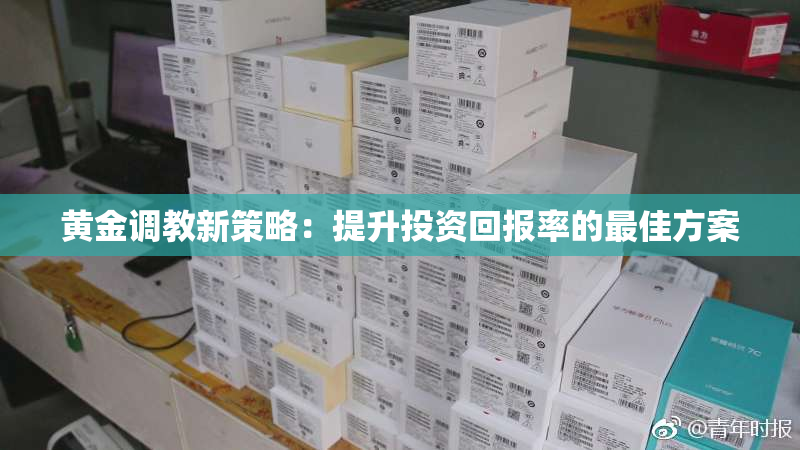 黄金调教新策略：提升投资回报率的最佳方案